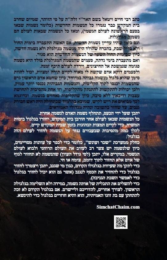 שער הגלגולים לרבינו חיים ויטאל Kabbalah Book SHAAR HaGILGULIM Gate Of Recarnations