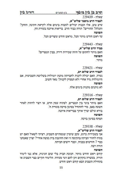 הרב בן ציון מוצפי - דורש בציון: שו"ת בעניני יז תמוז, בין המצרים ותשעה באב