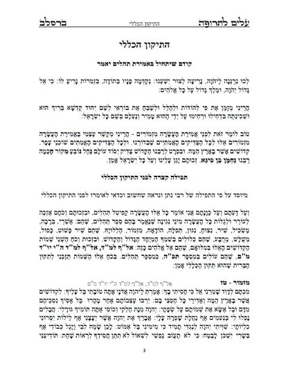 עלים לתרופה - מכתבים בתורת רבינו נחמן מתלמידו נאמן ביתו רבי נתן מברסלב