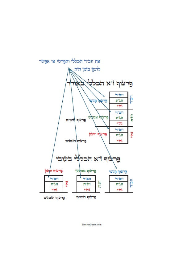 לוח שנה על פי הקבלה לרש"ש פרצוף הימים ופרצוף הזמנים לשנת תשפ"ז JEWISH KABBALAH CALENDAR 2026-2027