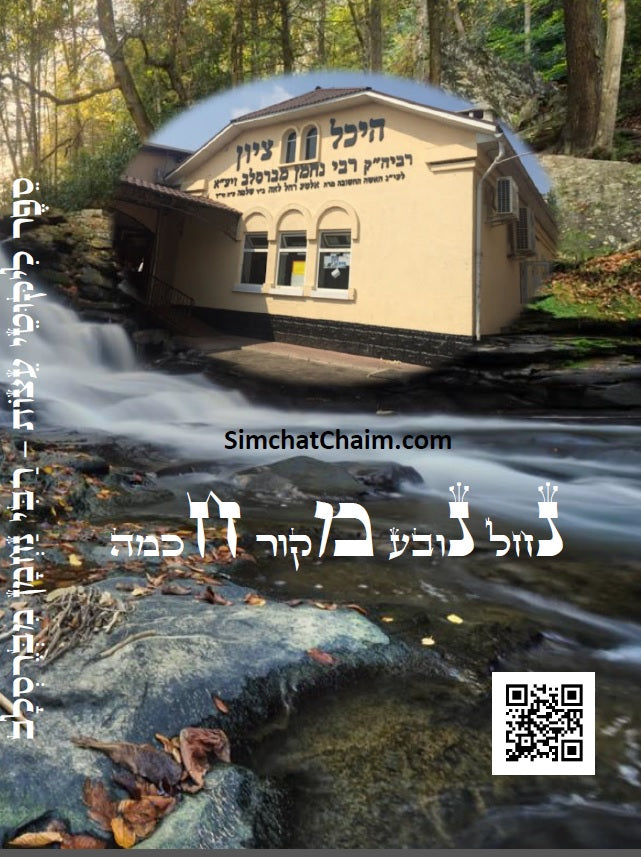 עלים לתרופה - מכתבים בתורת רבינו נחמן מתלמידו נאמן ביתו רבי נתן מברסלב