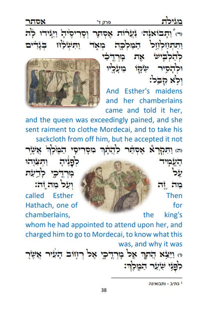 Megillah Esther: Hebrew and English - With old pictures in color  מגלת אסתר