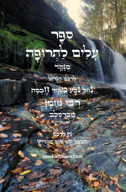 עלים לתרופה - רבינו נחמן מברסלב Leaves for medicine - Rabbi Nechman