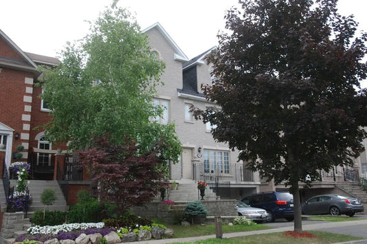 Sara’s Place - Strictly Kosher Home in Thornhill ON Canada