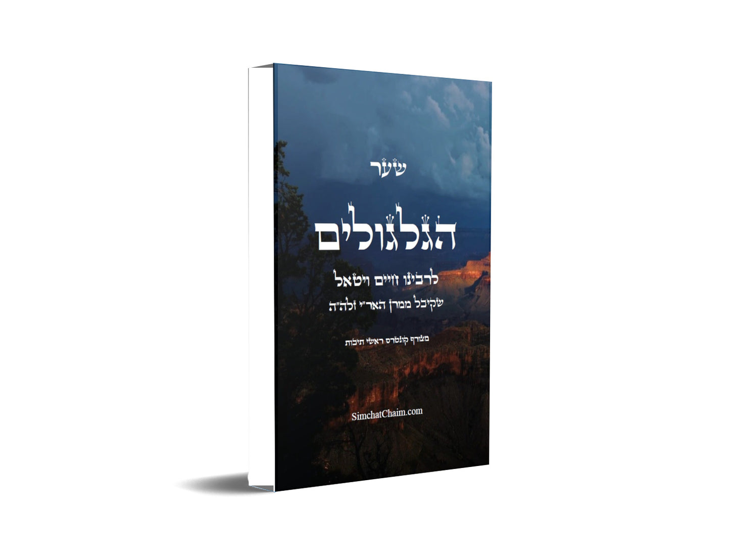 שער הגלגולים לרבינו חיים ויטאל Kabbalah Book SHAAR HaGILGULIM Gate Of Recarnations